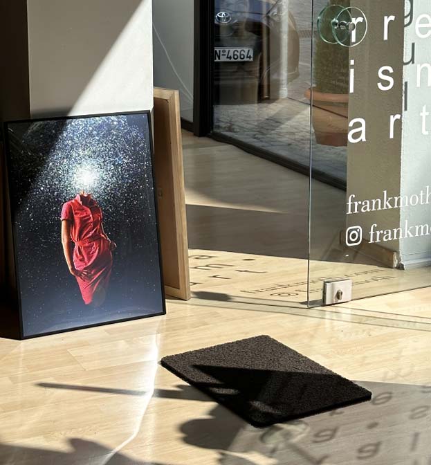 Obra de arte enmarcada de Frank Moth